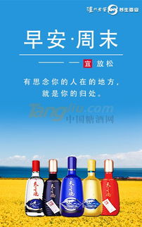 瀘州天之圣液攜手糖酒網，開啟酒類經營新篇章